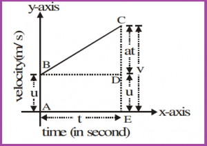 GRAPHICAL REPRESANTATION OF EQUATION OF MOTION